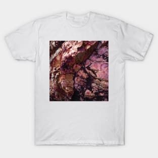 Red rock formation T-Shirt